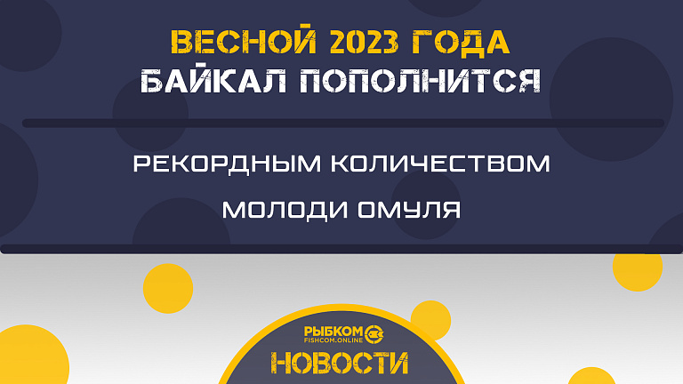 Весной 2023 года Байкал пополнится рекордным количеством молоди омуля