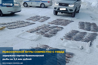 Рыбоохраной Югры совместно с ГИБДД задержана партия браконьерской рыбы на 3,5 млн рублей