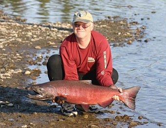 Дефицит лосося нанес удар по спортивному рыболовству на Аляске