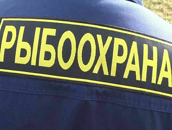 Астраханские инспекторы рыбоохраны осуждены на взятки