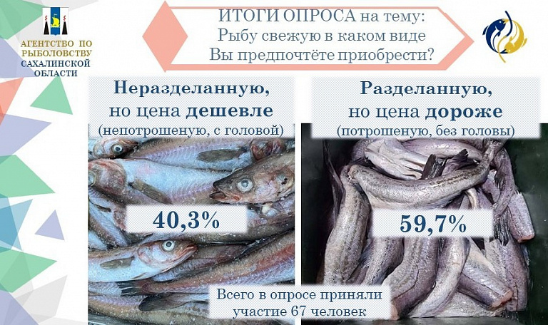 Агентство по рыболовству Сахалинской области подвело итоги опроса о реализации свежевыловленной рыбы