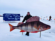 Фестиваль "Чкаловская рыбалка" поставил рекорд России по массовости