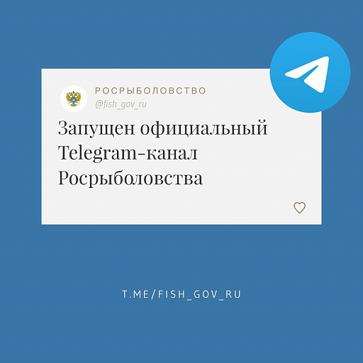 Росрыболовство запустило официальный Telegram-канал