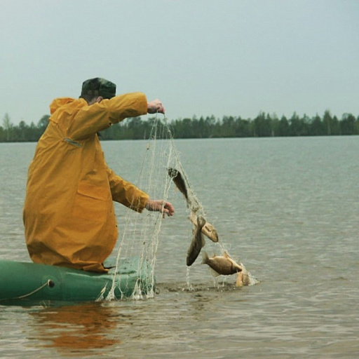 Саха (Якутия): объявлен месячник по охране осенне–зимних нерестующих видов рыб