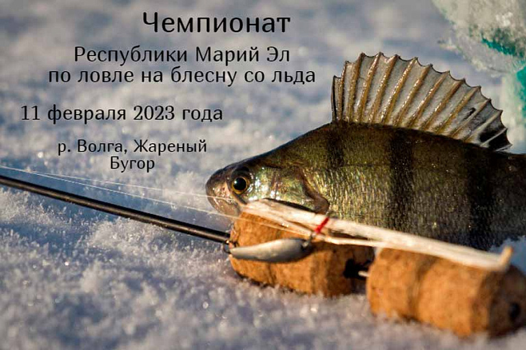 Чемпионат Республики Марий Эл по ловле на блесну со льда пройдет 11 февраля 2023 года