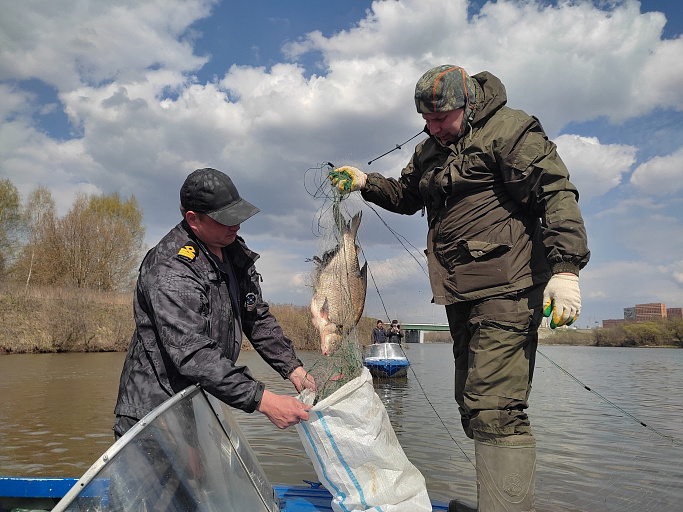 Москва-река перегорожена браконьерскими сетями