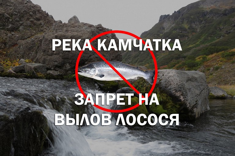 Запрет на вылов лососей в реке Камчатке