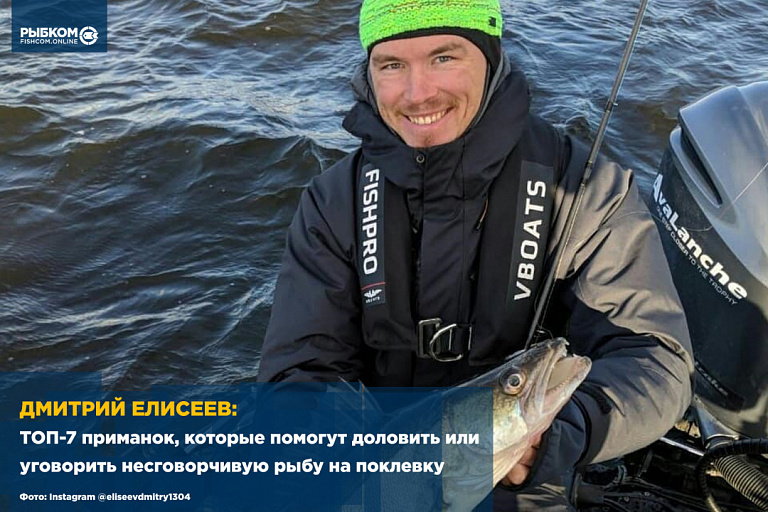 Дмитрий Елисеев: ТОП-7 приманок, которые помогут доловить или уговорить несговорчивую рыбу на поклевку