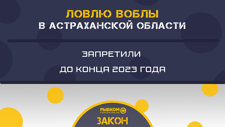 Ловлю воблы в Астраханской области запретили до конца 2023 года. Министр не для того, чтобы читать, а для того, чтобы подписывать