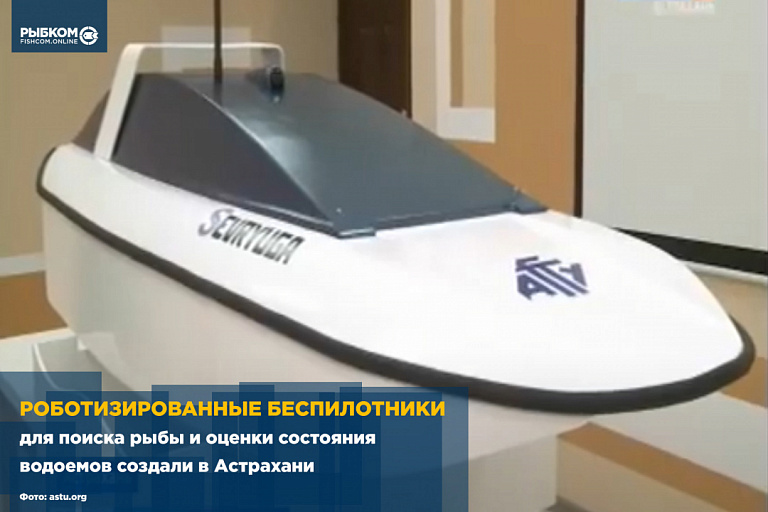 В Астрахани создали роботизированные суда-беспилотники для поиска рыбы и оценки состояния водоемов