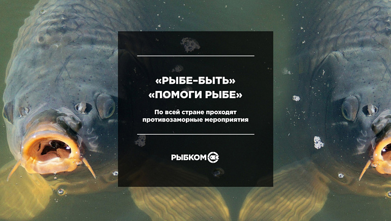 В Югре - «Помоги рыбе», в Татарстане - «Рыбе–быть»