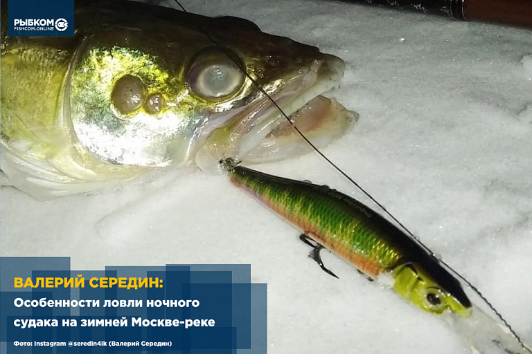 Валерий Середин: Особенности ловли ночного судака на зимней Москве-реке