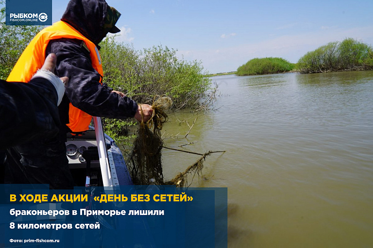 В ходе всероссийской акции Росрыболовства «День без сетей» браконьеров в Приморье лишили 8 километров сетей