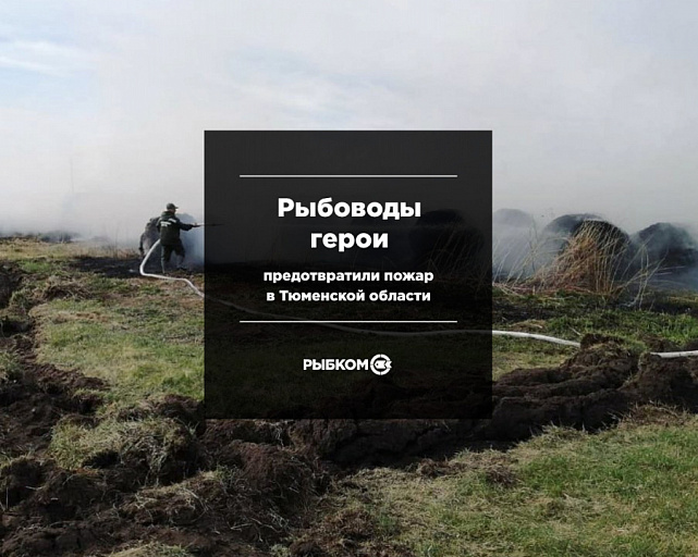 Рыбоводы-герои предотвратили пожар в Тюменской области
