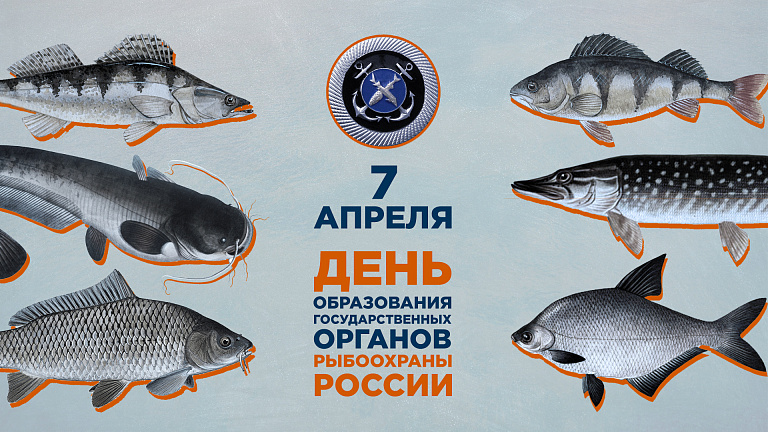 7 апреля - День образования государственных органов рыбоохраны России