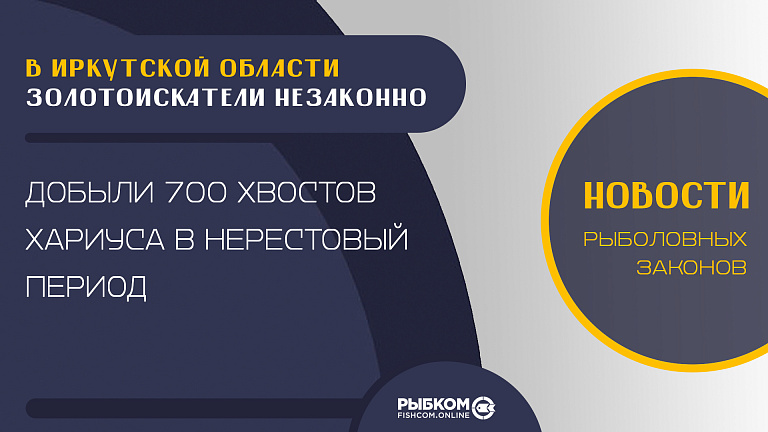 В Иркутской области золотоискатели незаконно добыли 700 хвостов хариуса в нерестовый период