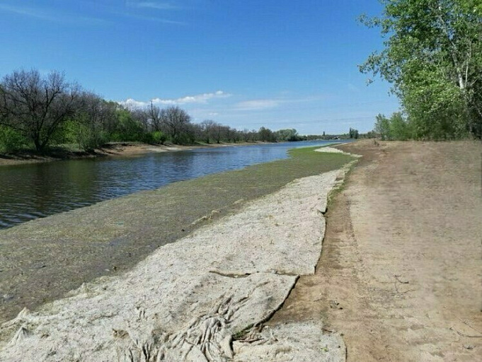 В Волго-Ахтубинской пойме восстановлена водная система ерика Гнилого