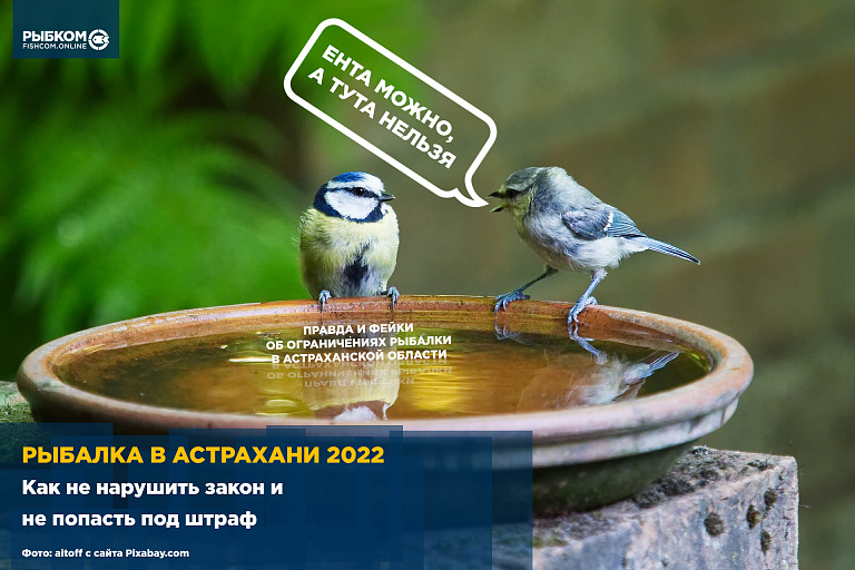 Рыбалка в Астрахани 2022: Как не нарушить закон и не попасть под штраф