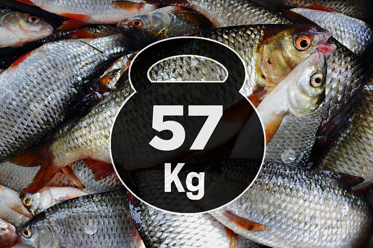 Как рыбак 57 кг рыбы спас!