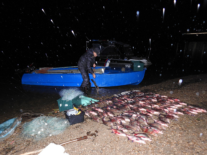 Сотрудники рыбохраны просят рыболовов делиться информацией о фактах крупного браконьерства