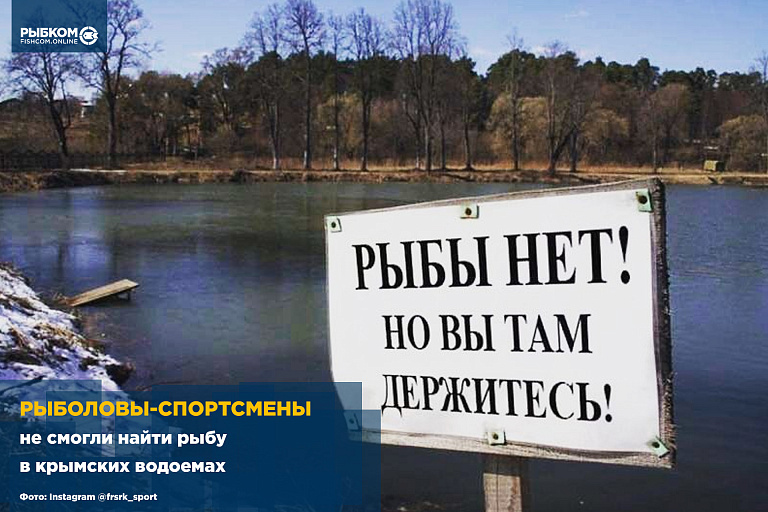Крымские рыболовы-спортсмены не смогли найти рыбу в водоемах