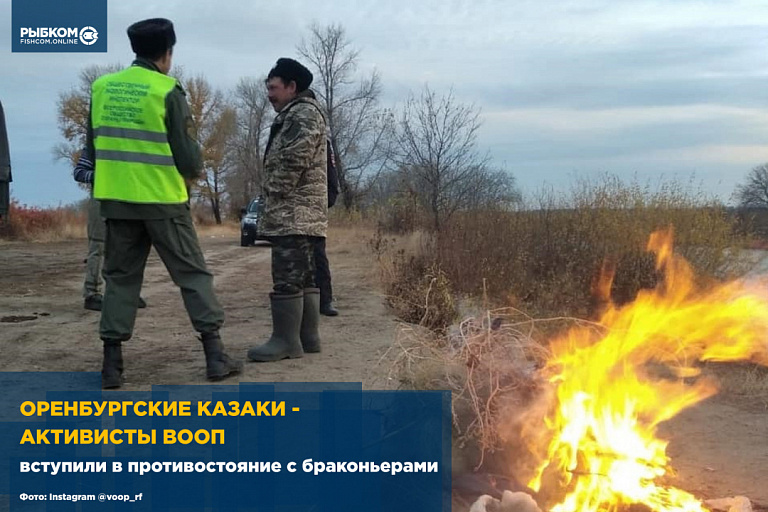 Оренбургские казаки-активисты ВООП вступили в противостояние с браконьерами