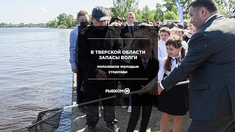В честь дня Волги в Тверской области запасы Волги пополнили молодью стерляди