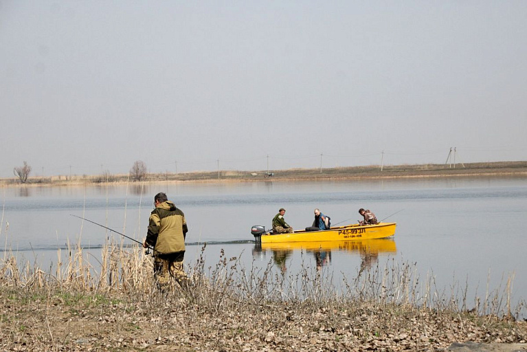 Эта рыба - магнит, притягивающий туристов в Астраханскую область 