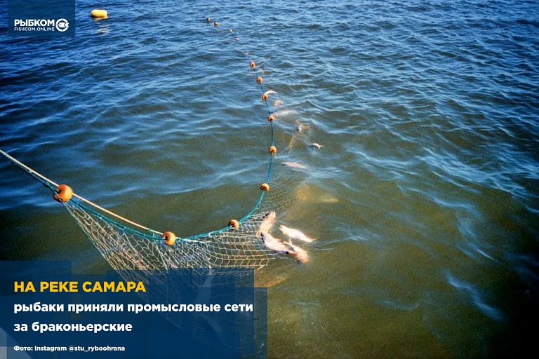 На реке Самара рыбаки приняли промысловые сети за браконьерские
