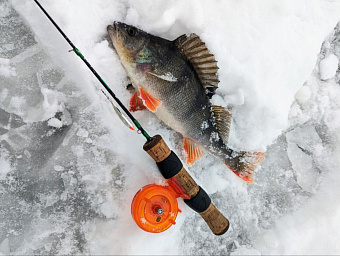 Рыбалка со льда на окуня. Как собрать комплект новичку?