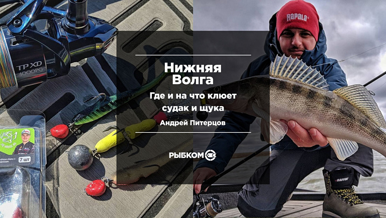 Андрей Питерцов: Обстановка по рыбе на Нижней Волге. На что клюет судак и щука