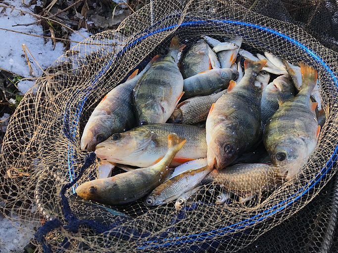 Рыбалка на незамерзающем озере Горячка