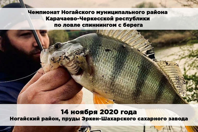 Чемпионат Ногайского муниципального района Карачаево-Черкесской республики по ловле спиннингом с берега состоится 14 ноября 2020 года