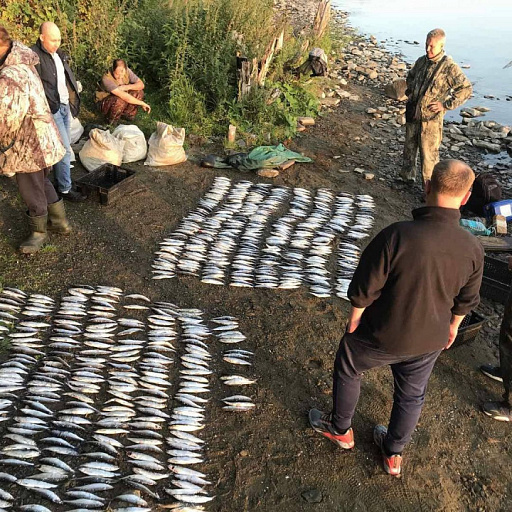 В Челябинской области браконьер напал на инспектора рыбоохраны
