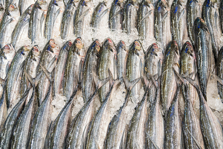 На рыбной продукции из России трижды находил следы COVID-19 за 2021 год