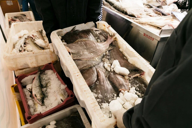В Мурманской области рыбаки-любители смогут легально продавать свой улов