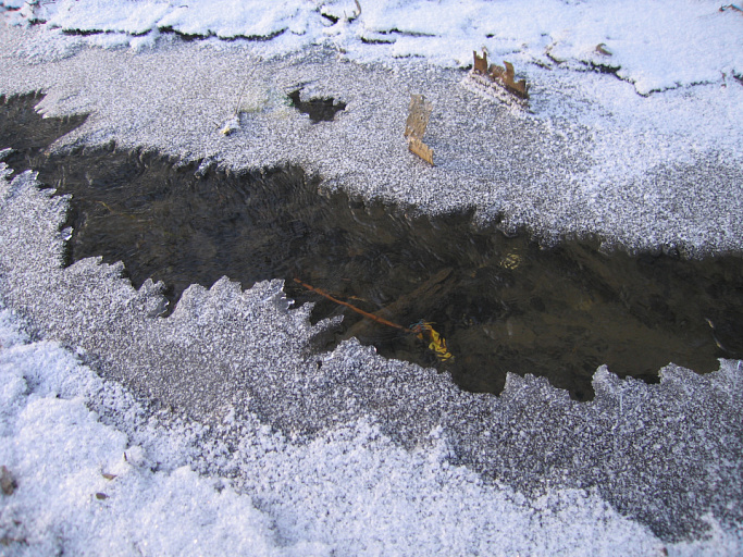 В Кировской области рыбаки провалились под лед и погибли