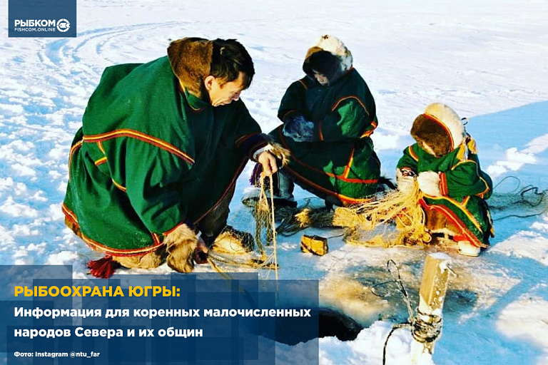 Рыбоохрана Югры: Информация для коренных малочисленных народов Севера и их общин
