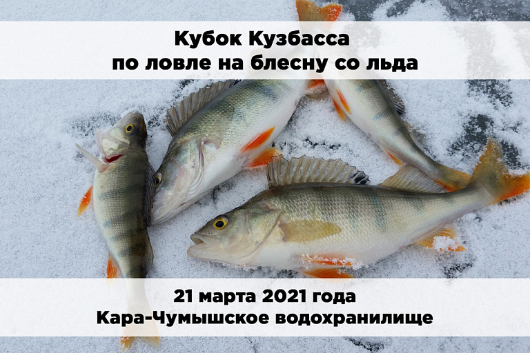  Кубок Кузбасса по ловле на блесну со льда состоится 21 марта 2021 года