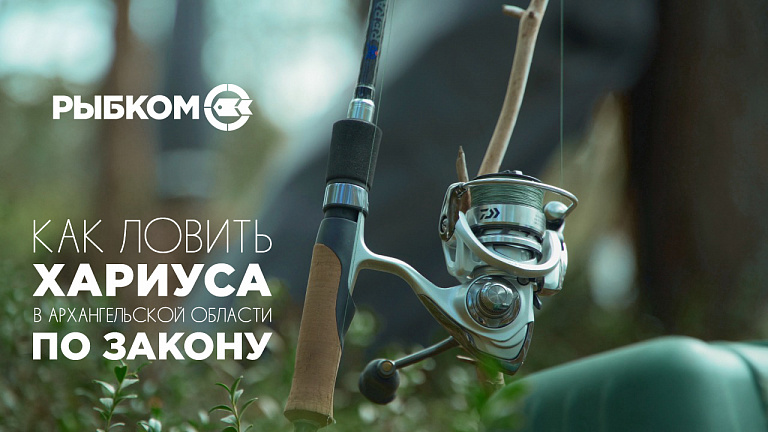 Как ловить хариуса по закону в Архангельской области рассказала Редакция "РЫБКОМ"