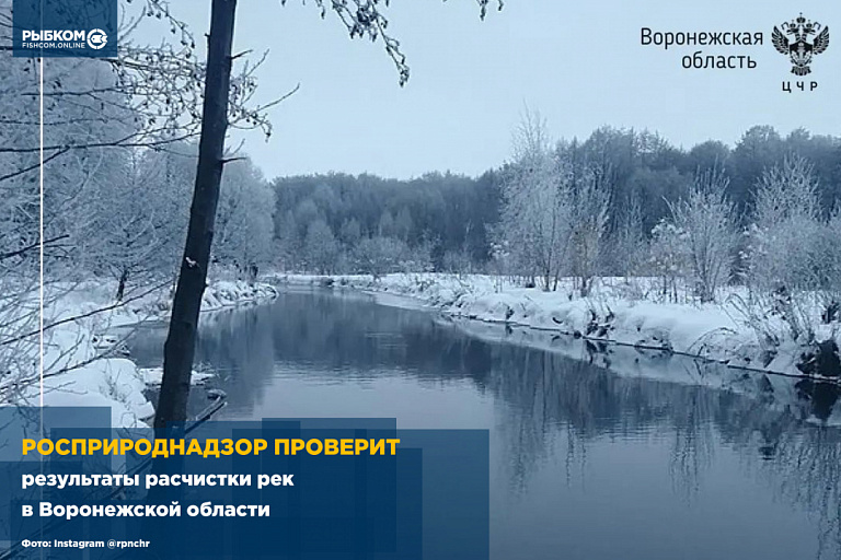 Росприроднадзор проверит результаты расчистки рек в Воронежской области