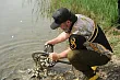 Охотник из Чеченской Республики выпустил в Грозненское озеро боле 25 тысяч рыб