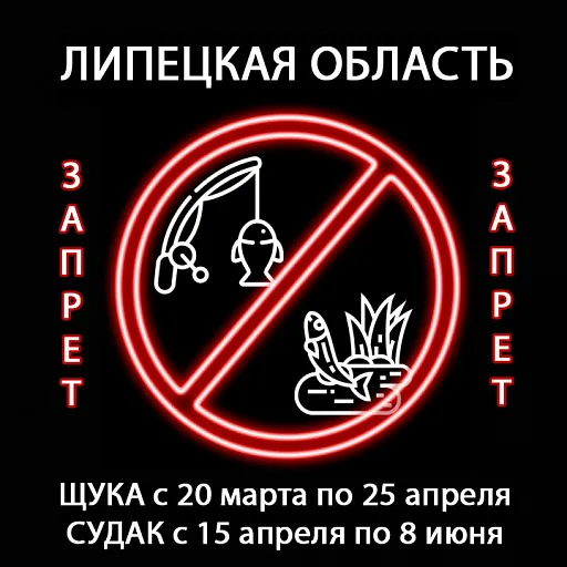 Запрет на ловлю щуки в России - актуальная информация