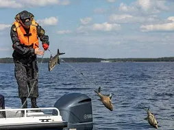 «День без сетей»: жители Нижегородской области сняли браконьерские сети и зарыбили водохранилище