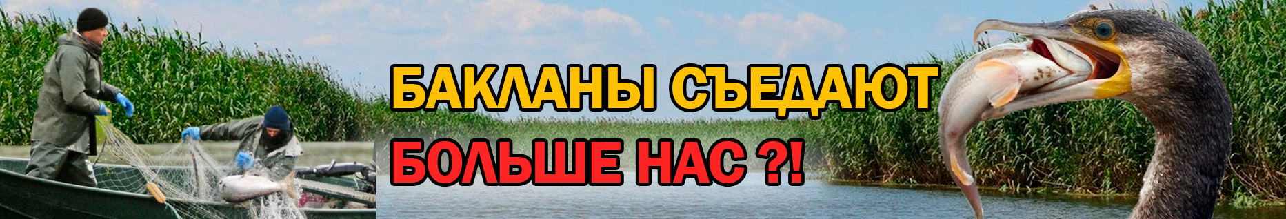 Разбор новой редакции правил рыболовства Волжско-Каспийского бассейна